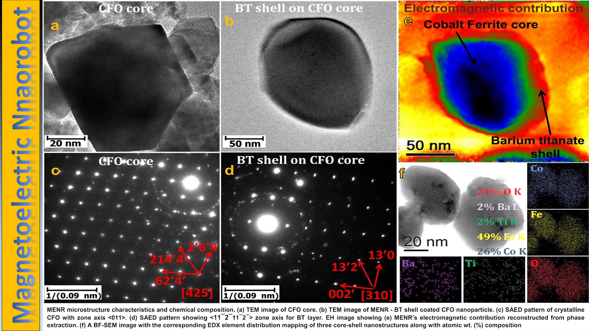 Magnetoelectric core-shell nanorobot under electron microscopy.
